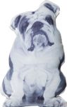 Poduszka Cushion Dogs   - Kare Design 4